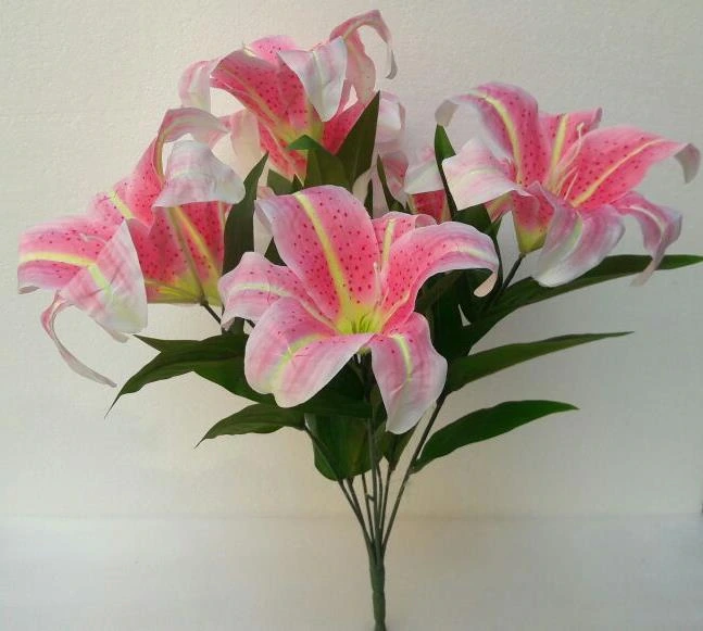 Lily Jumbo Bunch x7